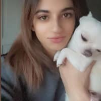 Profilbilde av hundepasser: Rodrigo S.