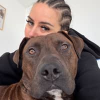 Photo de profil du pet sitter : Eléna S.