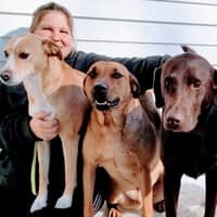 Sitter Profile Image: Malissa P.