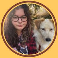 Photo de profil du pet sitter : Axelle L.