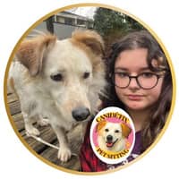 Photo de profil du pet sitter : Axelle L.
