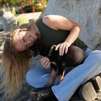 Sitter Profile Image: Livi L.