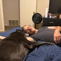 Sitter Profile Image: Daniel G.