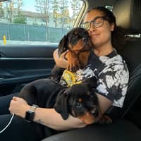 Sitter Profile Image: Alyssa L.