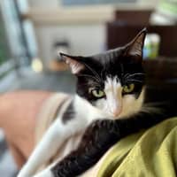 Sitter Profile Image: Thomas G.