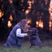 Sitter Profile Image: Rachael C.