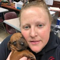 Sitter Profile Image: Maggie H.