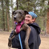 Sitter Profile Image: Nico C.