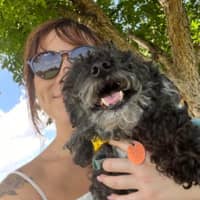 Sitter Profile Image: Sophia D.