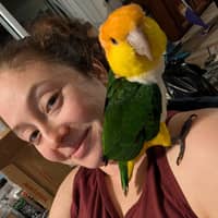 Sitter Profile Image: Brittney R.