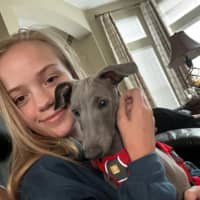 Sitter Profile Image: Sarah K.