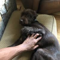 Sitter Profile Image: James N.