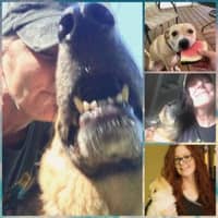 Sitter Profile Image: Susan M.