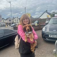 Sitter Profile Image: Andrea H.