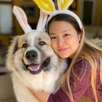 Sitter Profile Image: Haruka & Daniel D.