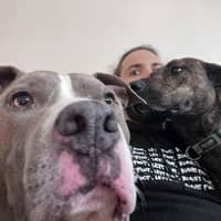 Sitter Profile Image: Sam R.