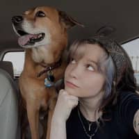 Sitter Profile Image: Kaitlyn R.