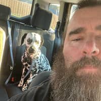 Sitter Profile Image: Nathan & Courtney M.