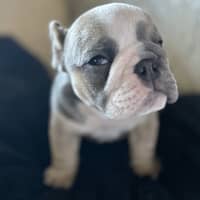 Sitter Profile Image: Erin W.