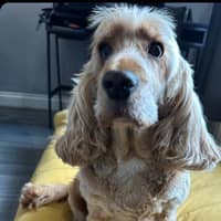 Sitter Profile Image: Paige F.