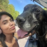 Sitter Profile Image: Alyx D.