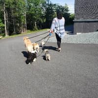 Sitter Profile Image: Priscilla R.