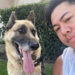 Sitter Profile Image: Quang N.