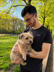Sitter Profile Image: aniello D.