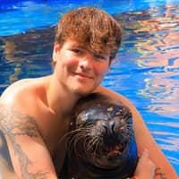 Sitter Profile Image: William H.