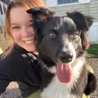 Sitter Profile Image: Anna A.