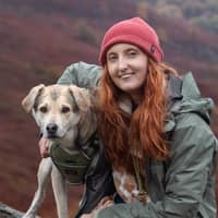 Sitter Profile Image: Brooke M.