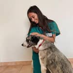 Sitter Profile Image: Paloma P.