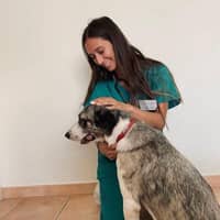 Sitter Profile Image: Paloma P.