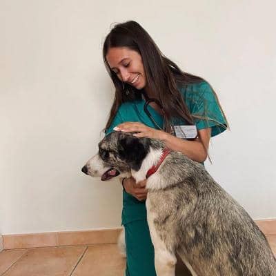 Sitter Profile Image: Paloma P.