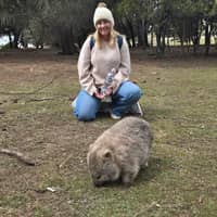 Sitter Profile Image: Erin H.