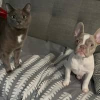 Sitter Profile Image: Ana S.