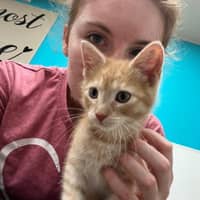 Sitter Profile Image: Leslie K.