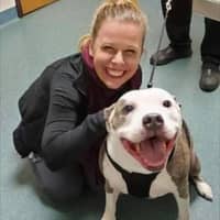 Sitter Profile Image: Rachael C.