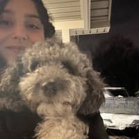 Sitter Profile Image: Maya C.