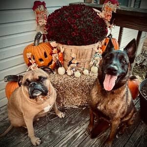 Sitter Profile Image: Rachell R.