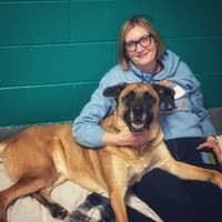 Sitter Profile Image: Whitney O.