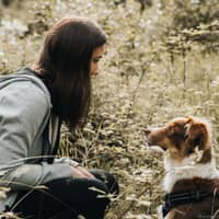 Photo de profil du pet sitter : Julie R.