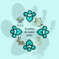 Foto del cuidador: Laia A.
