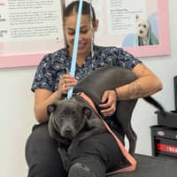 Sitter Profile Image: Arianna P.