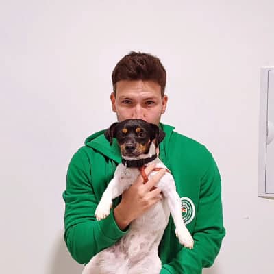 Foto de perfil del cuidador: Mikel V.