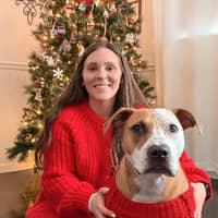 Sitter Profile Image: Allison C.