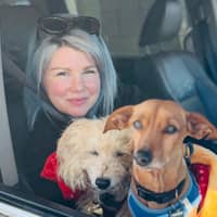 Sitter Profile Image: Brittanie & Ryan B.