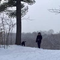 Sitter Profile Image: Liam D.