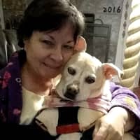 Sitter Profile Image: Dee C.