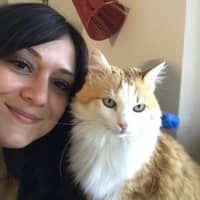 Sitter Profile Image: Danielle Y.